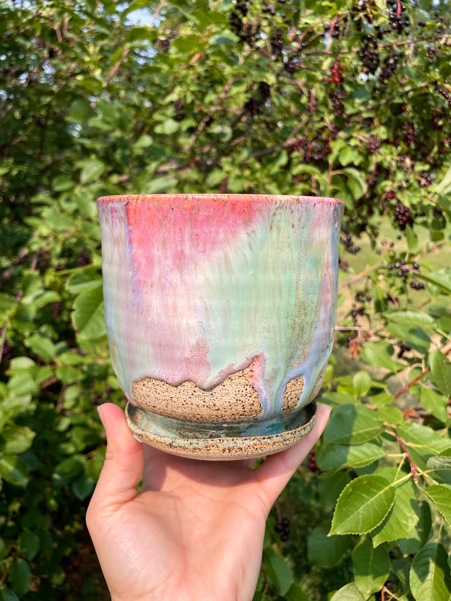 Rainbow Planter Medium No. 3