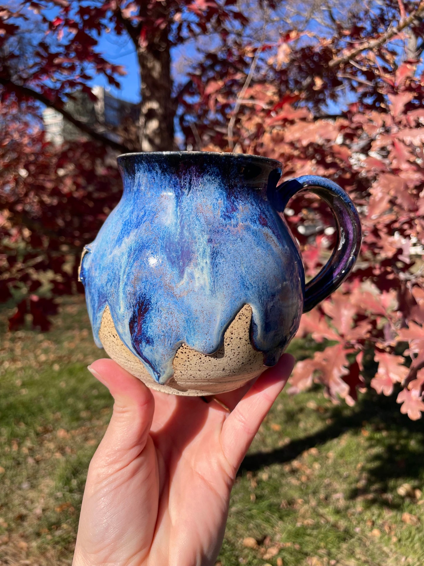 The Confederacy Lost Mug No. 3