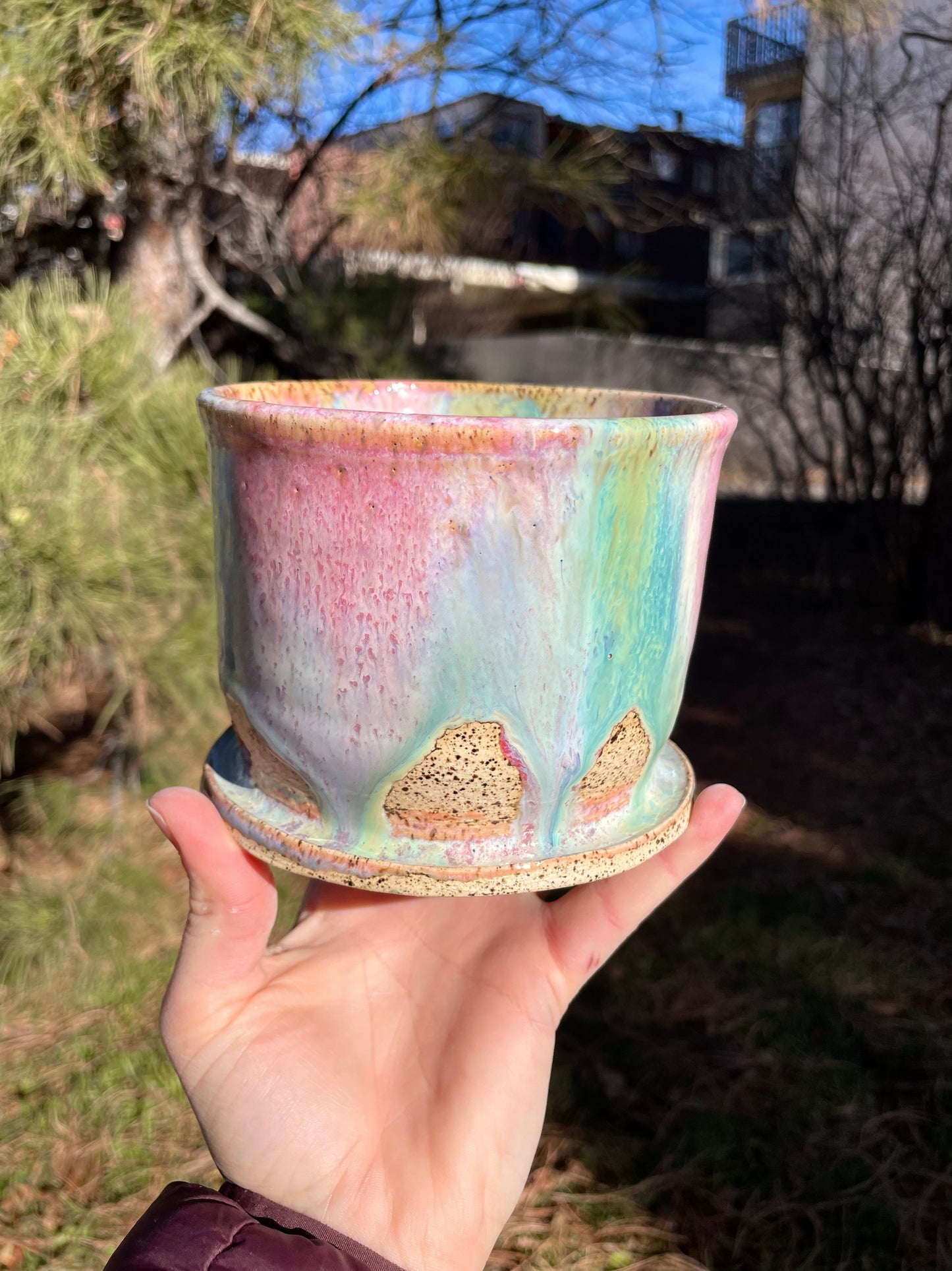 Rainbow Planter Small