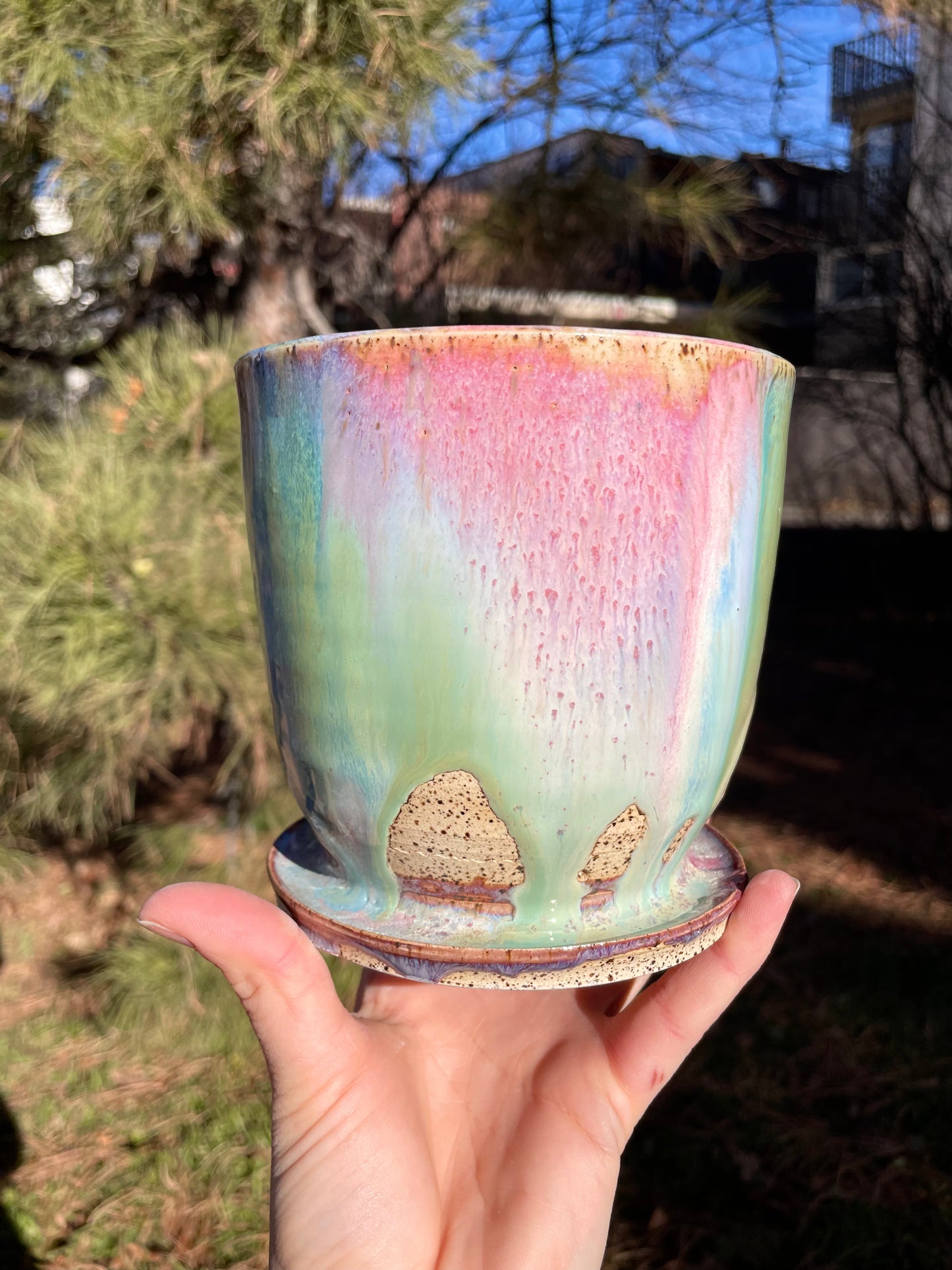 Rainbow Planter Medium