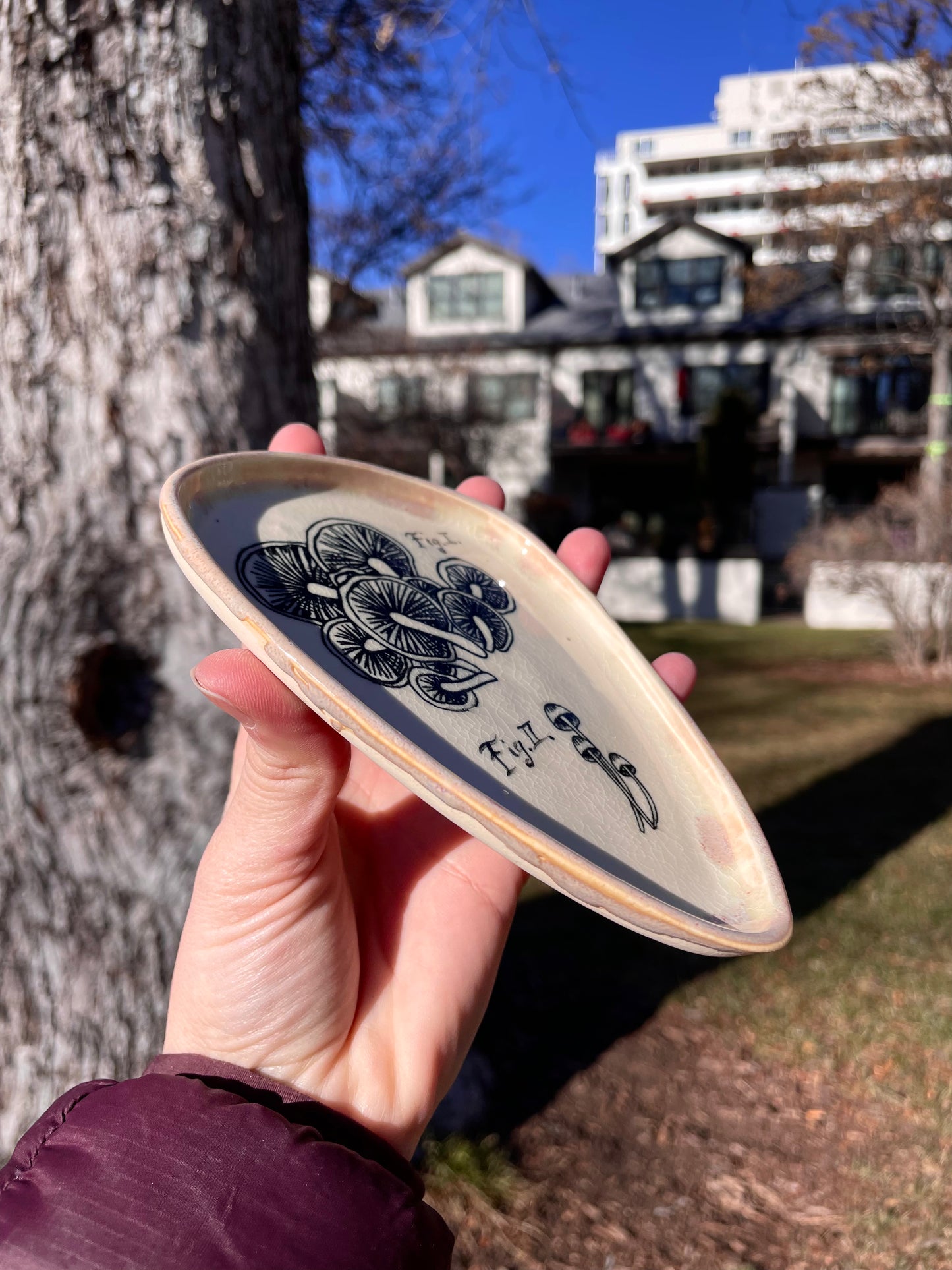 Mush Tray No. 6