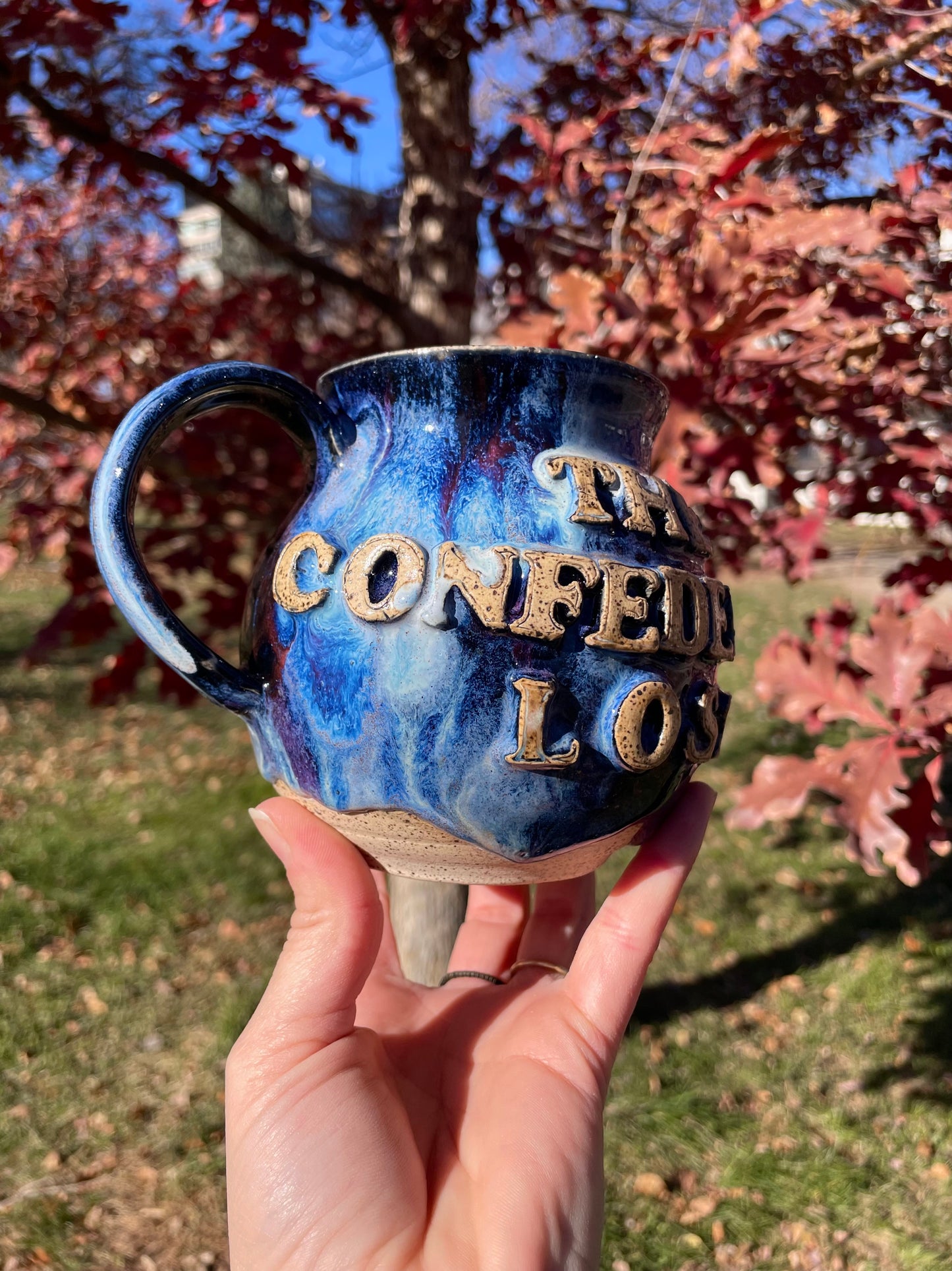 The Confederacy Lost Mug No. 3