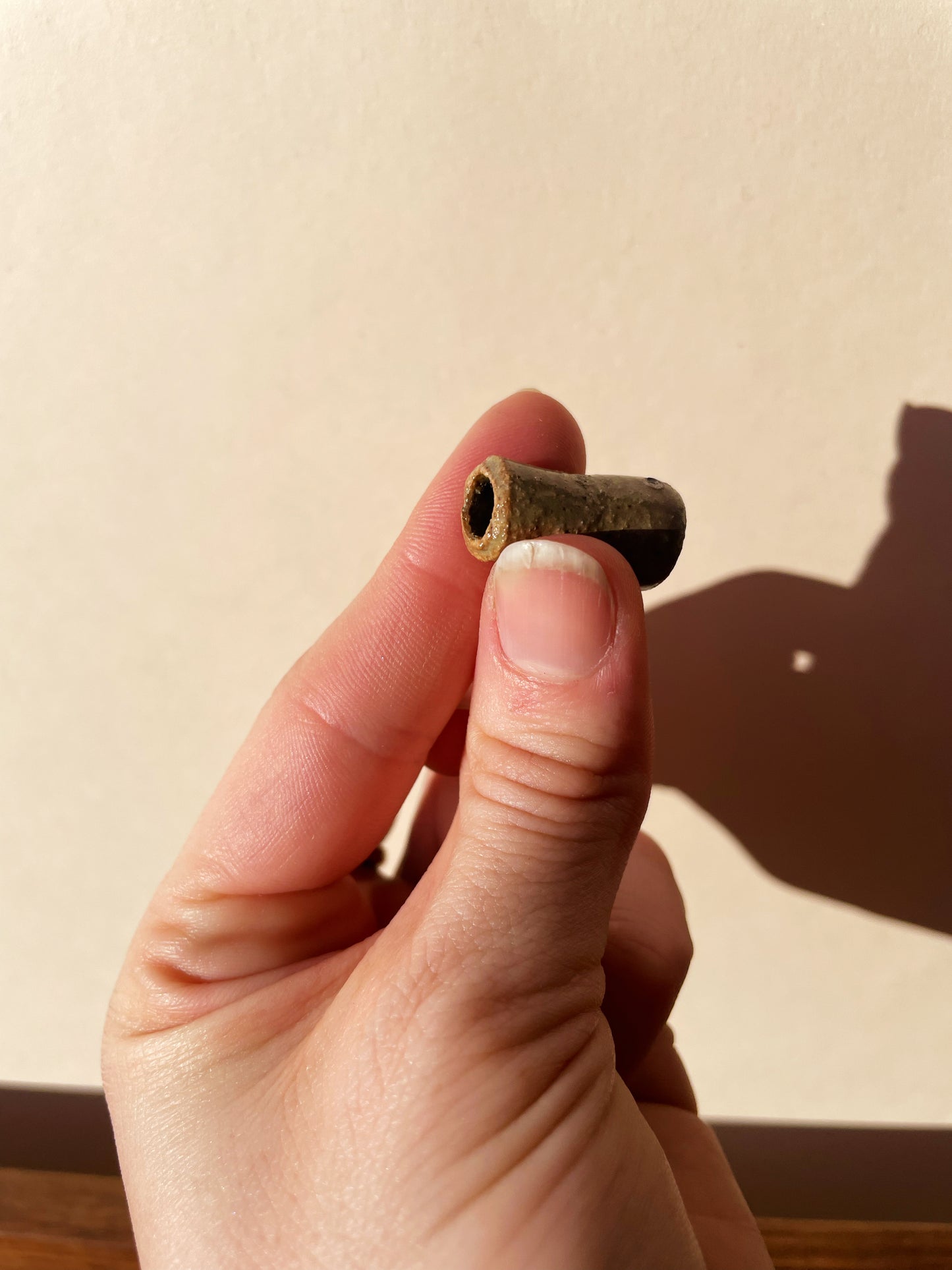 Forest Joint Holder
