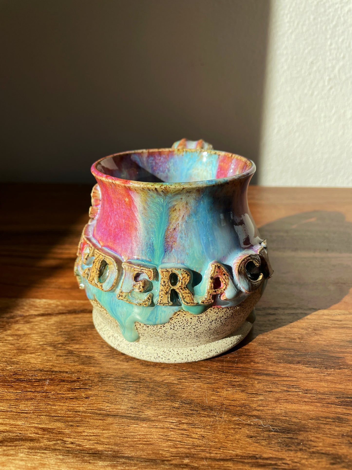 The Confederacy Lost Mug