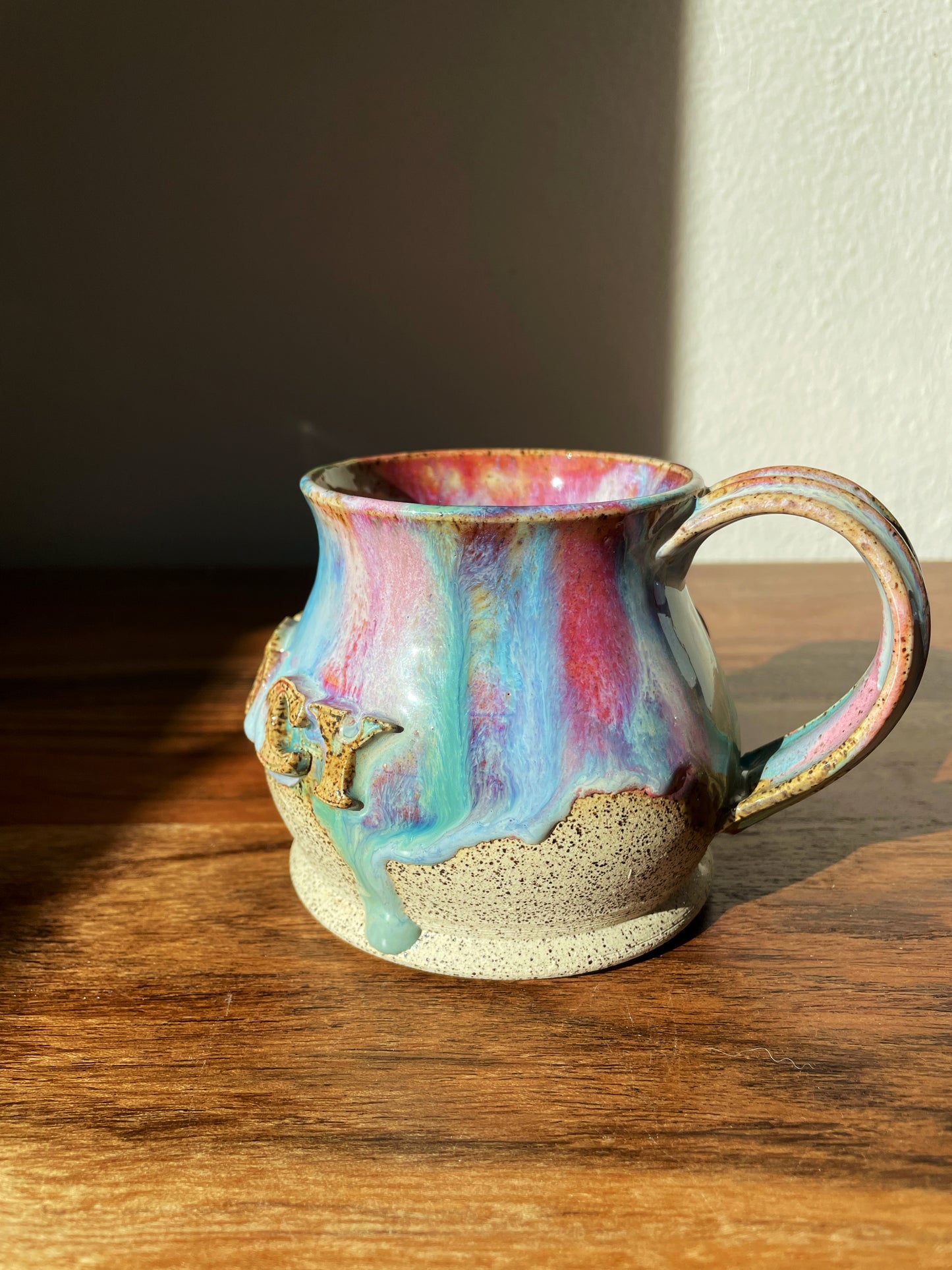 The Confederacy Lost Mug