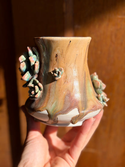 Echeveria Mug