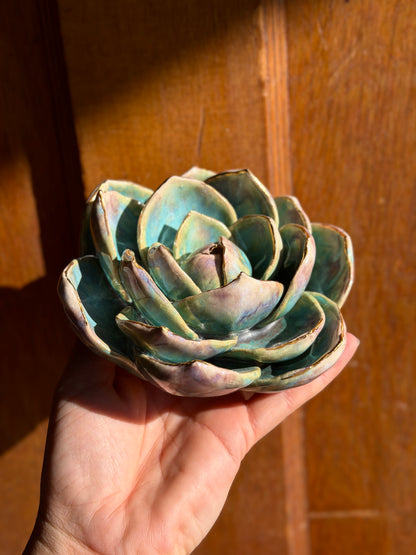 Echeveria Wall Hanging