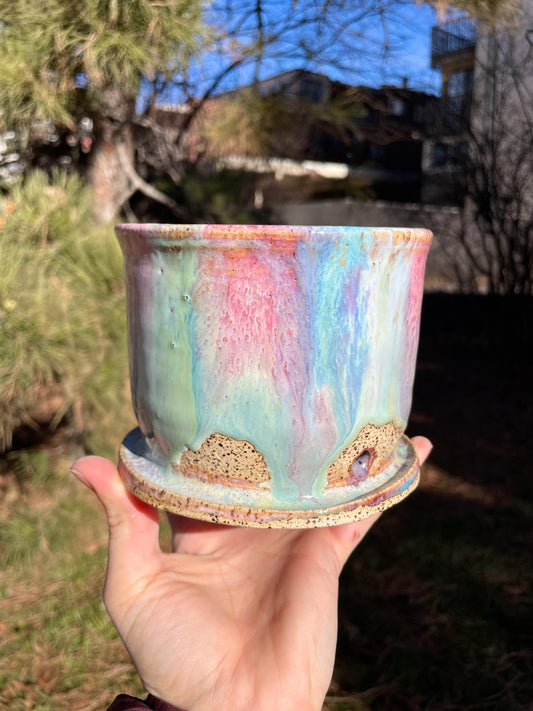 Rainbow Planter Small