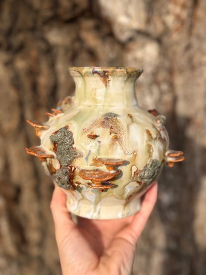 Toad Vase