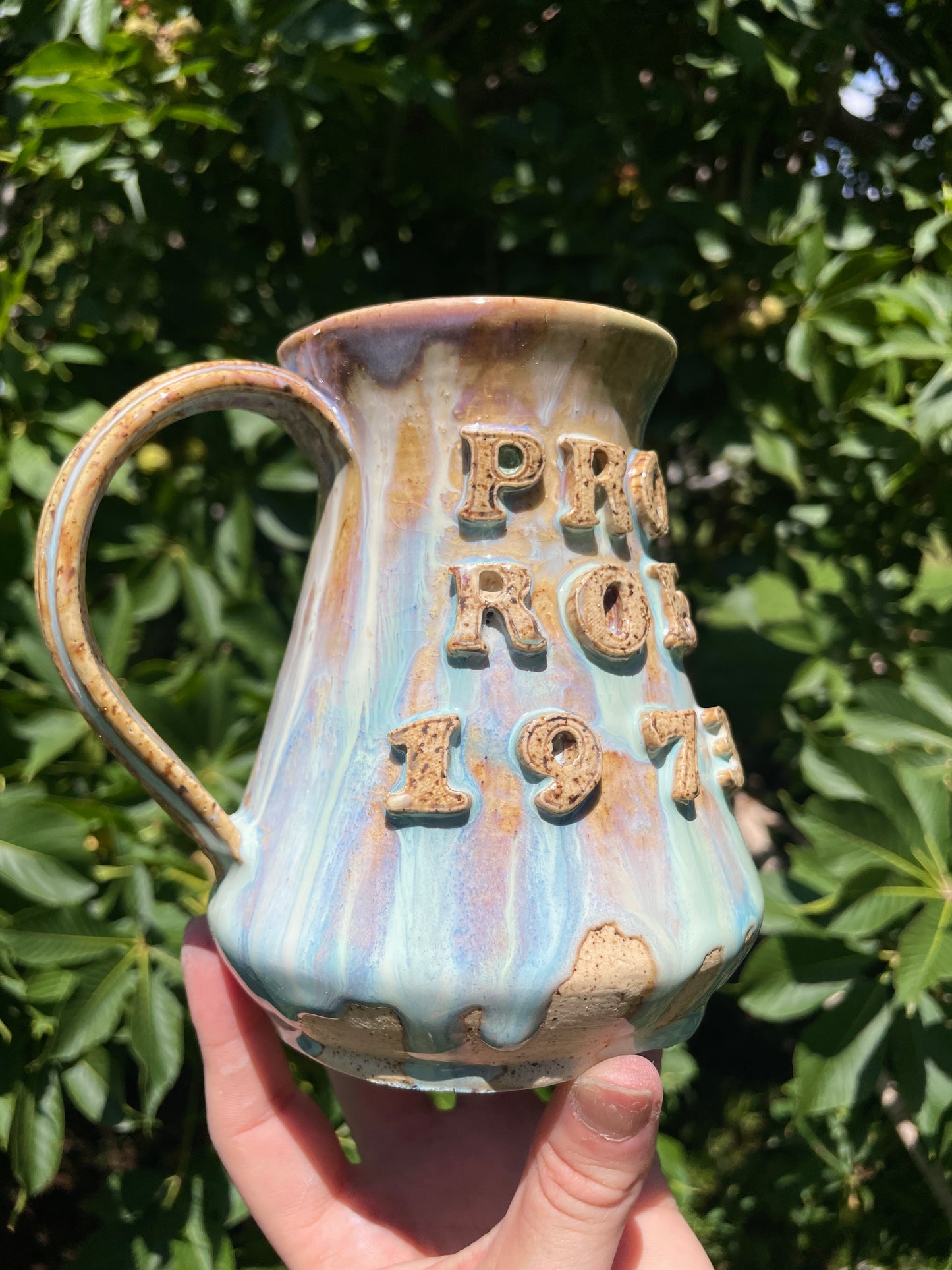 Pro Roe 1973 Mug No. 6