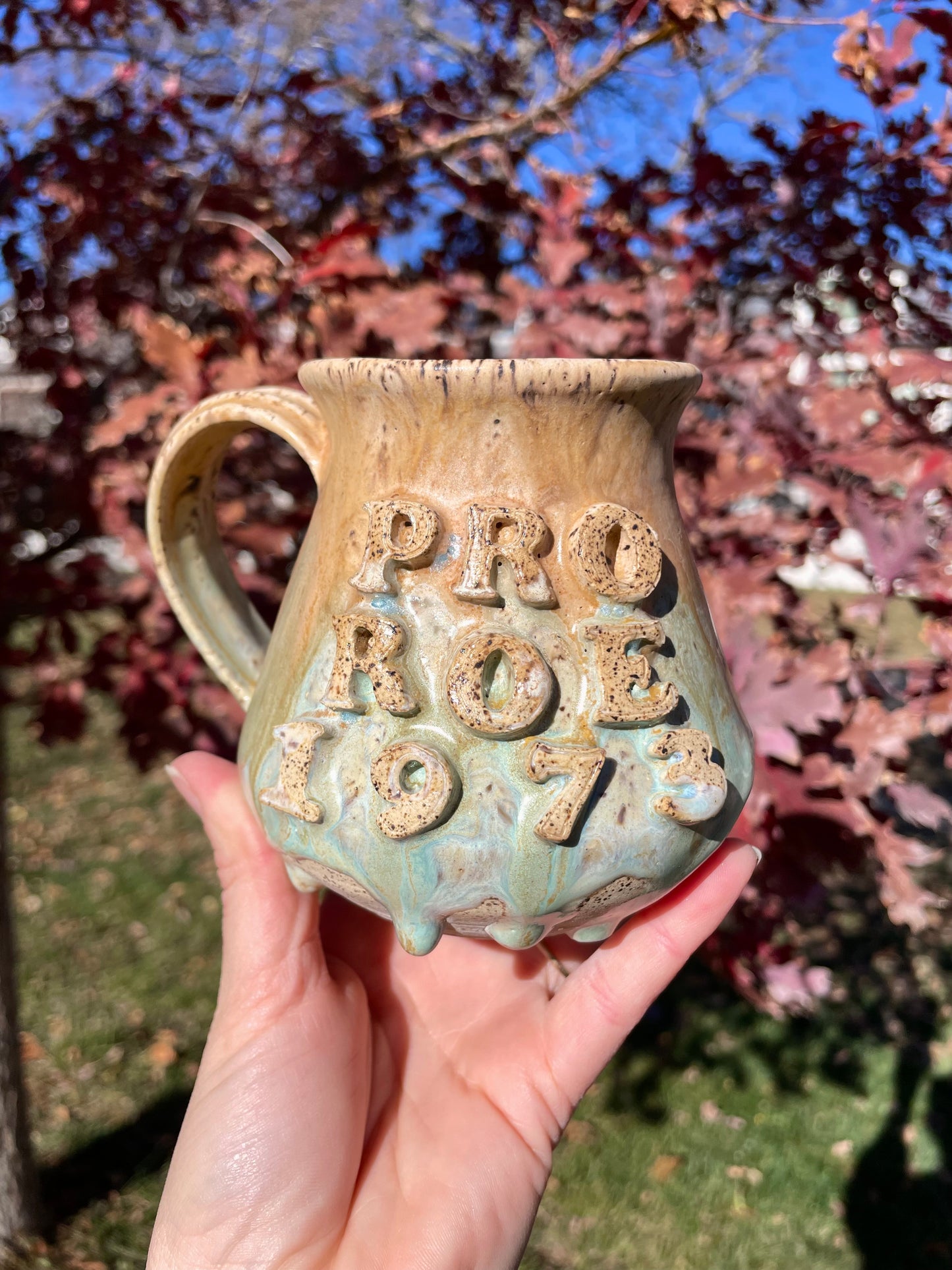 Pro Roe 1973 Mug No. 5