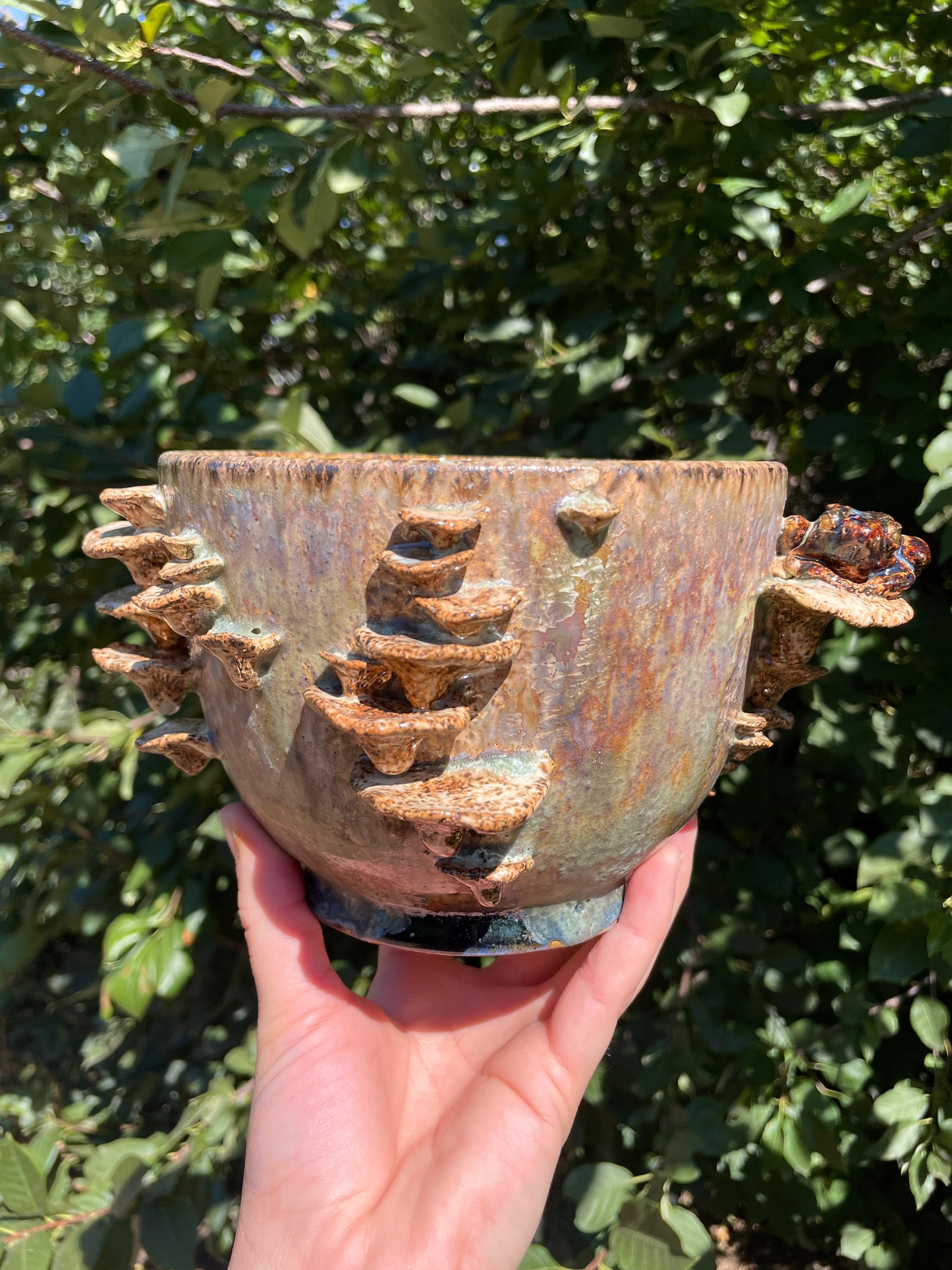 Crystalline Toad Planter