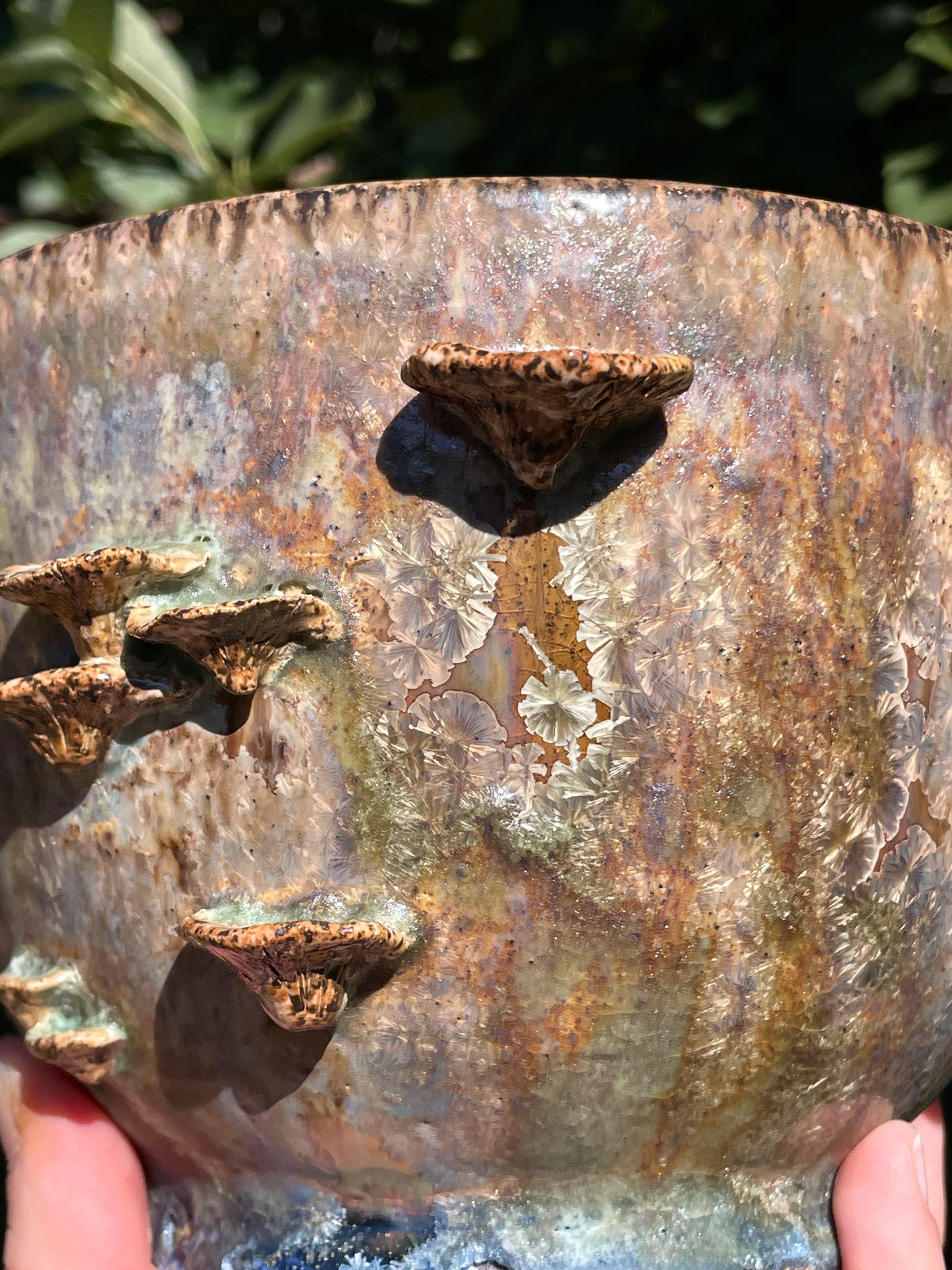 Crystalline Toad Planter