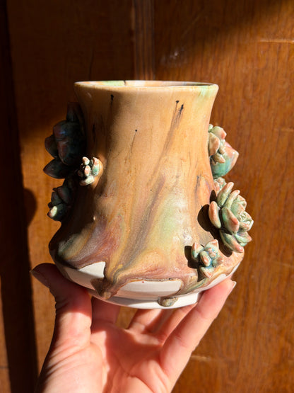 Echeveria Mug