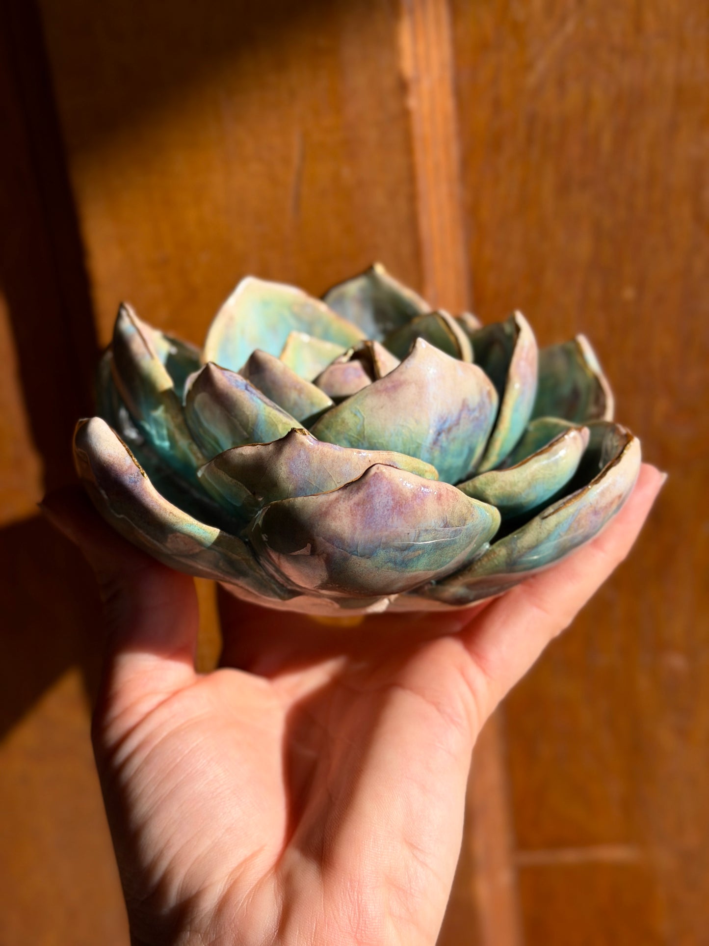 Echeveria Wall Hanging
