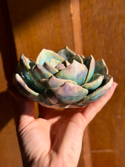 Echeveria Wall Hanging