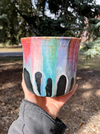 Planter: Black Rainbow Edition