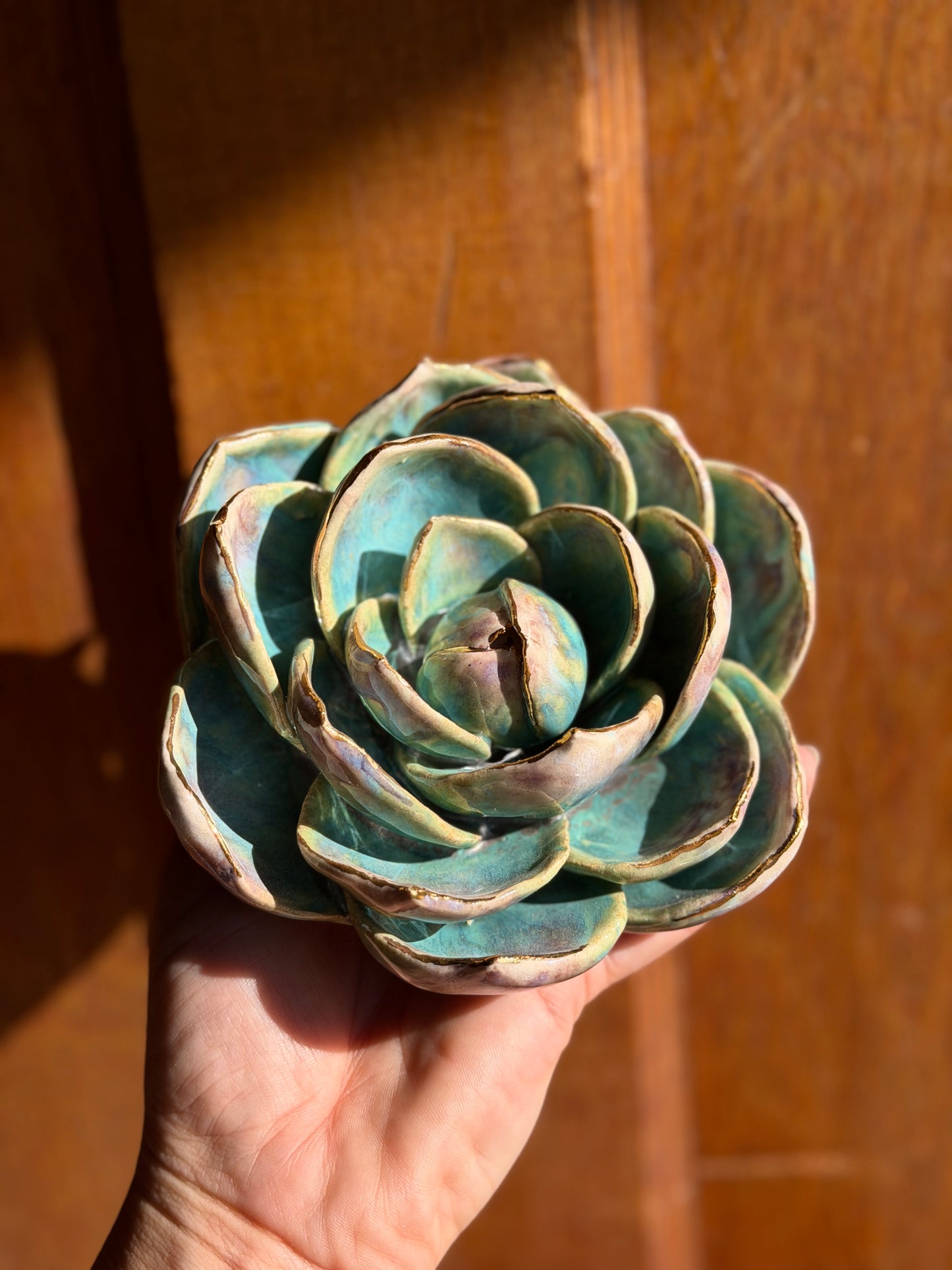 Echeveria Wall Hanging