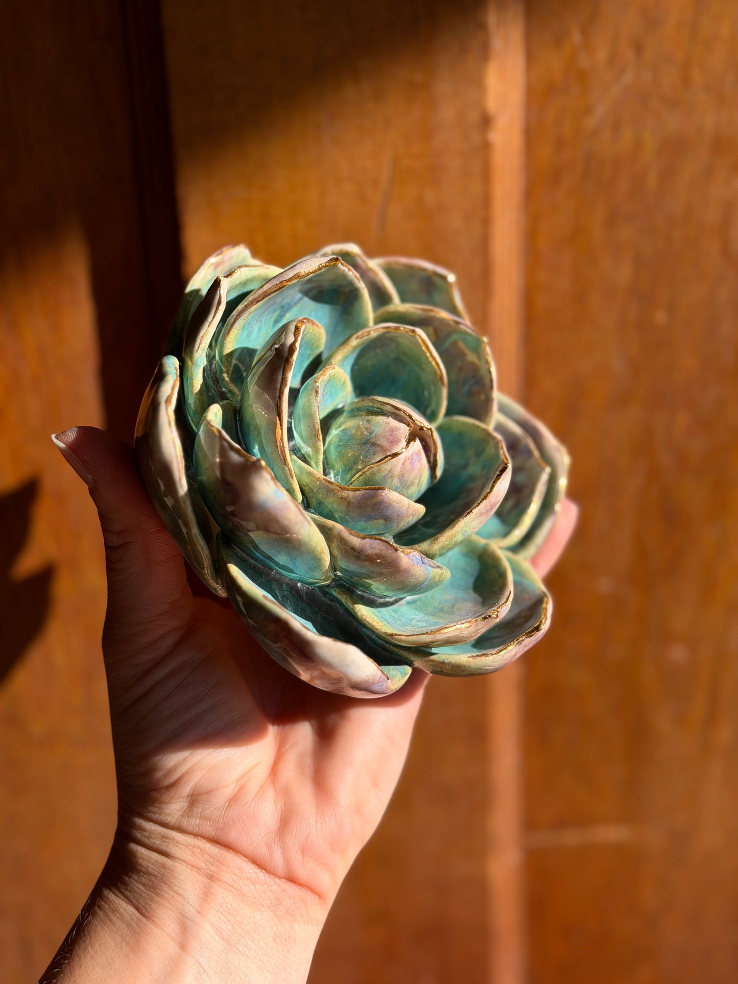 Echeveria Wall Hanging
