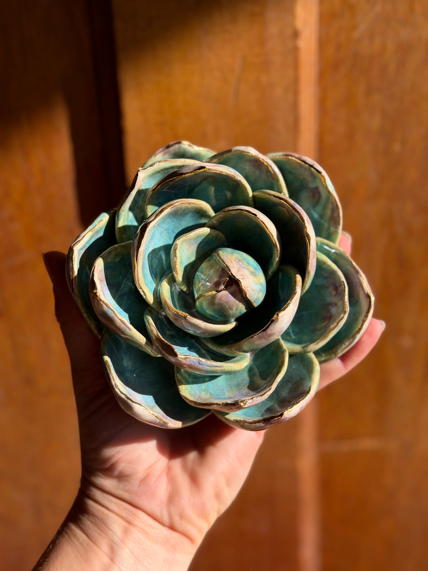 Echeveria Wall Hanging