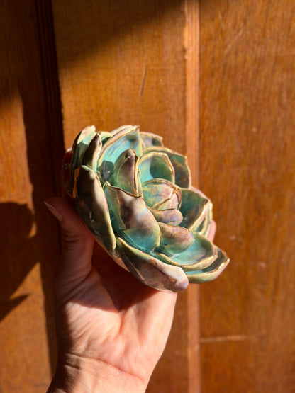 Echeveria Wall Hanging