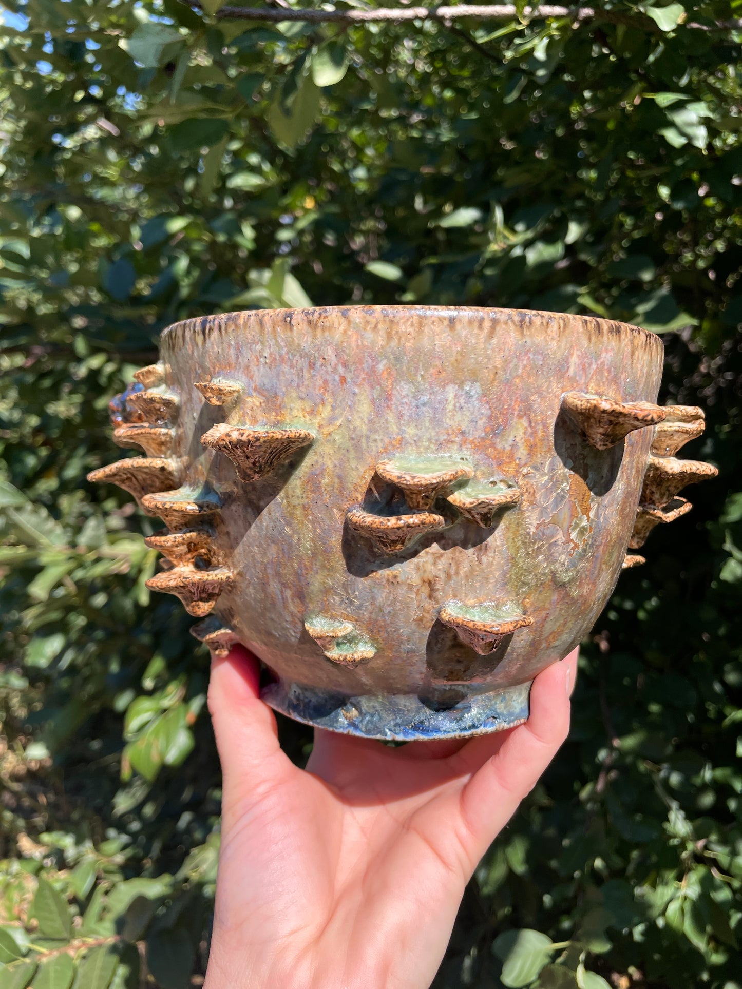 Crystalline Toad Planter