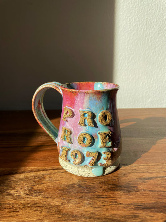 Pro Roe 1973 Mug